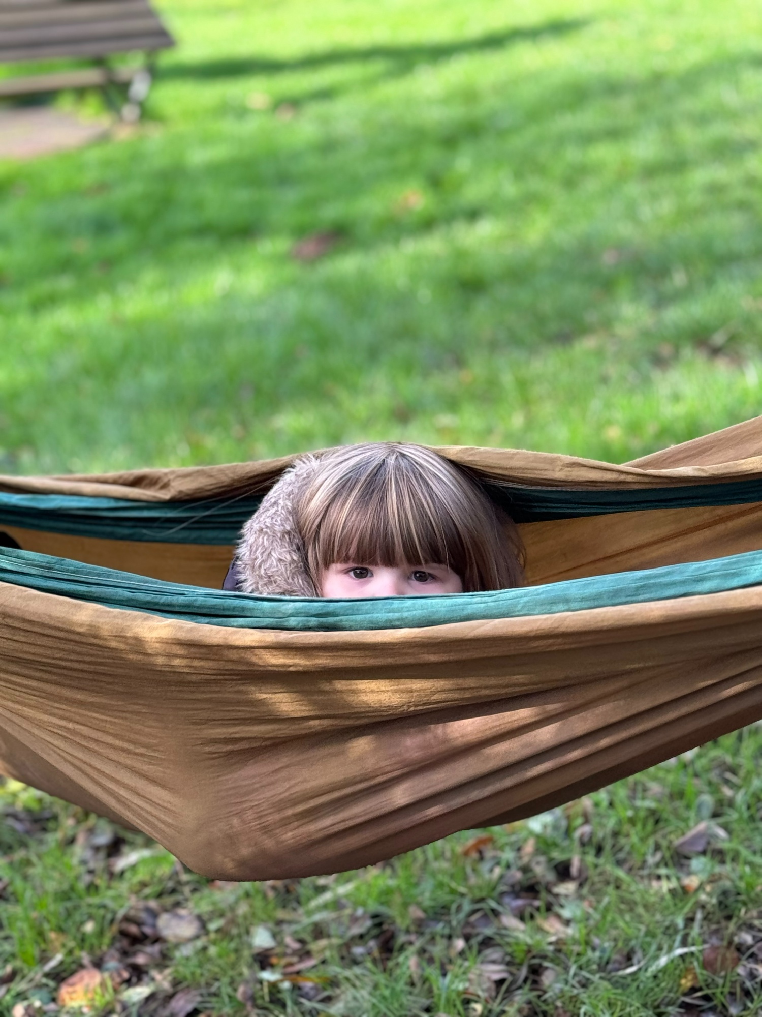 peekaboo.JPG